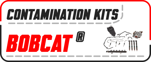 Bobcat