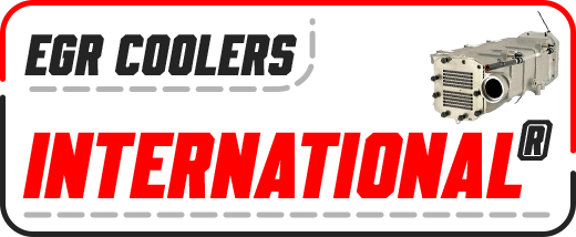 International